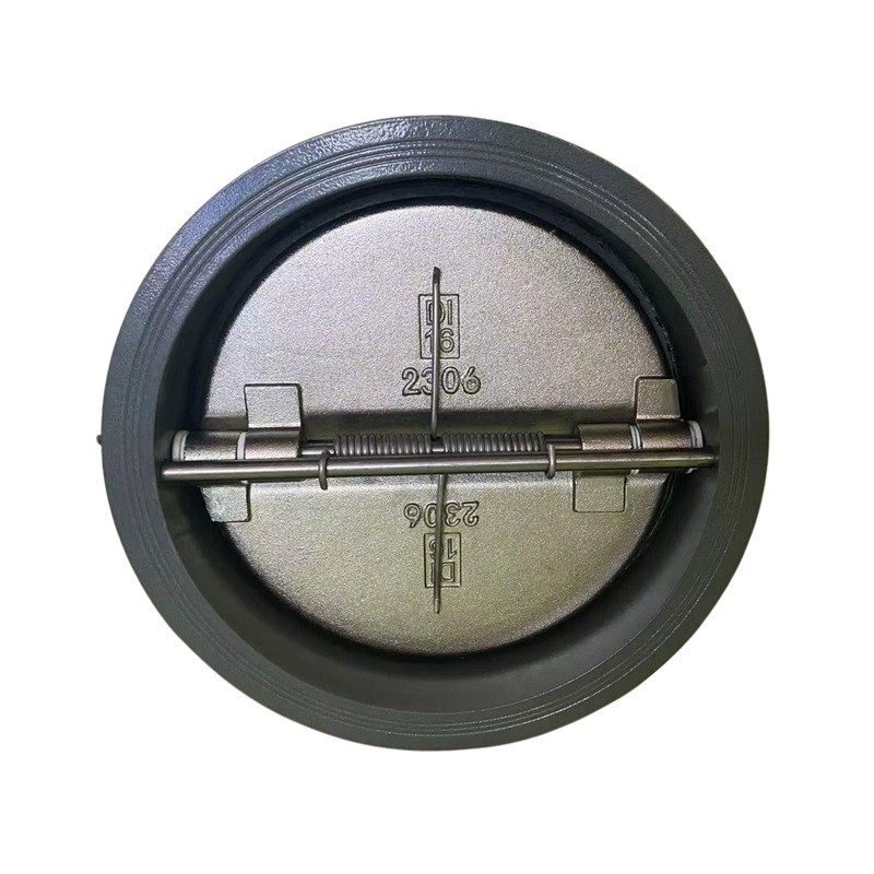 CS Wafer Check Valve